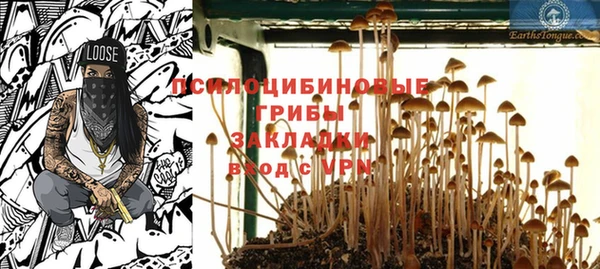 синтетический гашиш Богородск