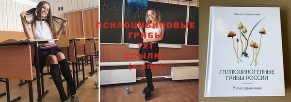 прущие крисы Бронницы