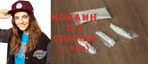 стаф Дмитриев