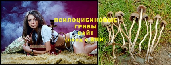 каннабис Богородицк
