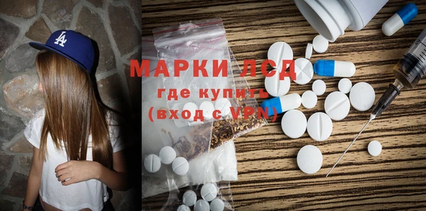 гашик Богданович