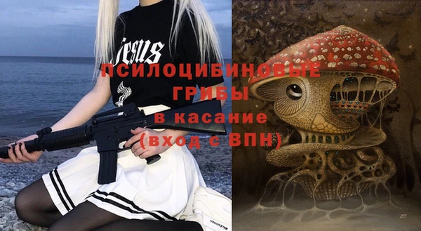 гашик Богданович