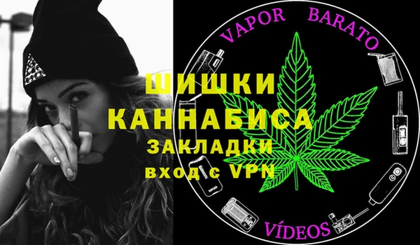 гашик Богданович