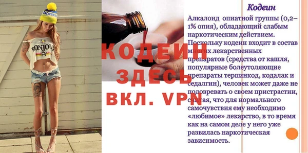 молекула духа Бородино