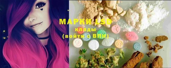 молекула духа Бородино