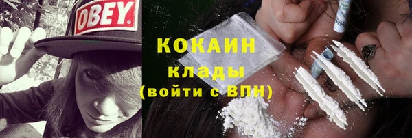гашик Богданович