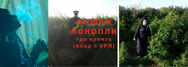 молекула духа Бородино