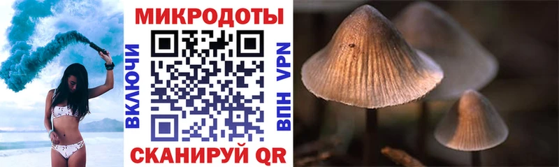 Псилоцибиновые грибы прущие грибы Мыски